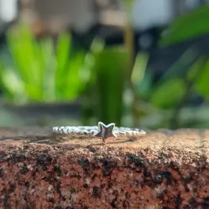 Cincin Simple Wanita Perak 925 Bintang R771 - Gambar 4